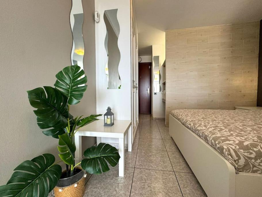 Palm Garden Apartment Morro Jable  Eksteriør billede