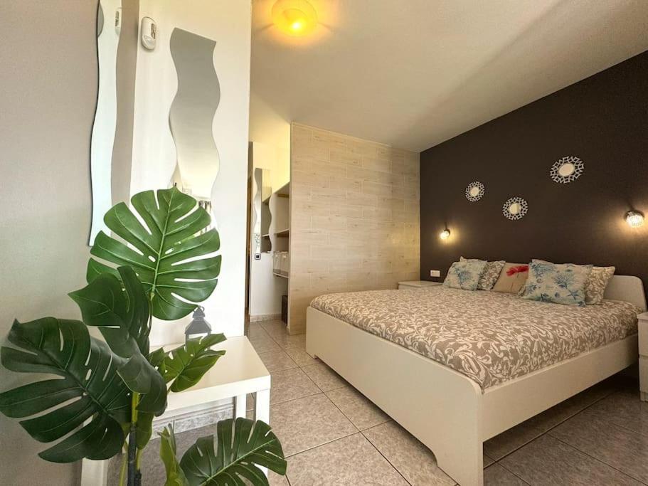 Palm Garden Apartment Morro Jable  Eksteriør billede